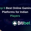 Top 5 Best Online Gaming Platforms for Indian Players