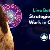 Live Betting Strategies That Work in Cricket
